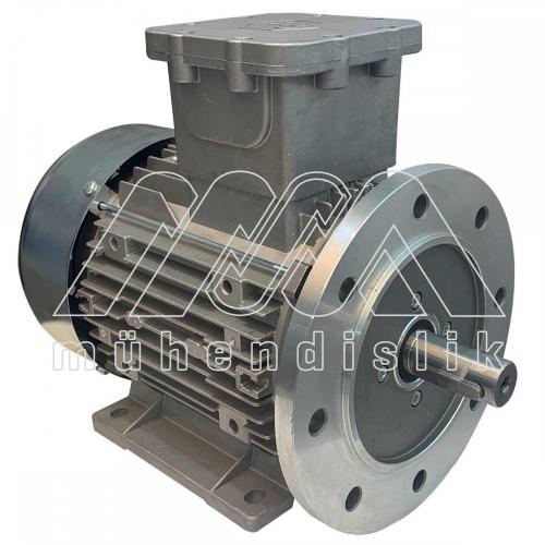 EX-PROOF MOTORS_ZONE 1