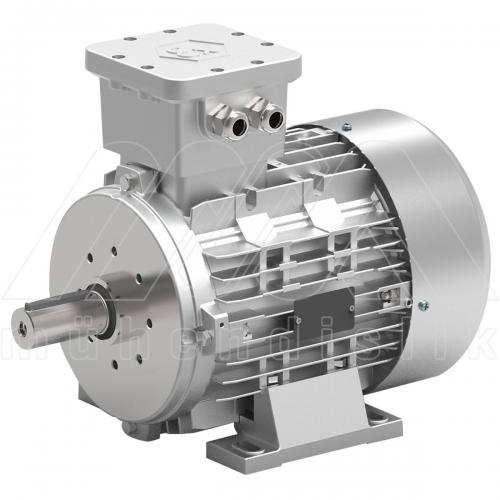 EX-PROOF MOTORS_ZONE 1